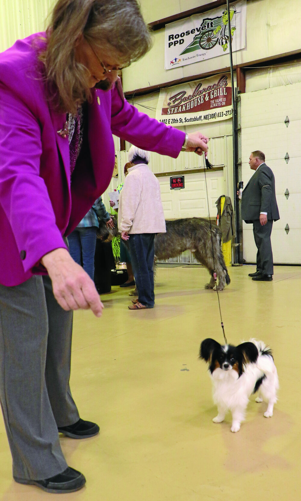 dog show PHOTO GALLERY